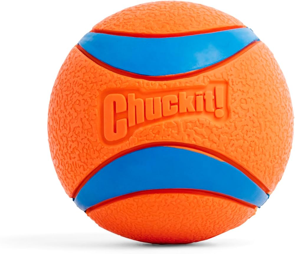 Ace’s orange and blue Chuckit ball